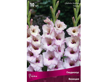 ��������� ������� �������.jpg