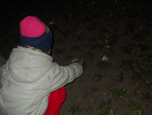 � ����������� ��������...