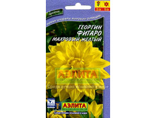 �������� ������ ������ ����������� ,(��) 13,00 ���. [���.3005050]