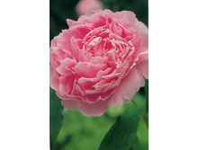 ���� ���� ������.jpg