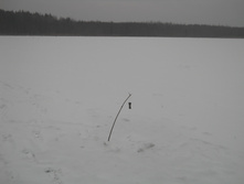 DSCN2905.JPG
