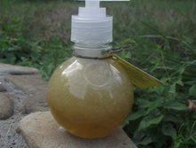 ������ ���� �����������.jpg