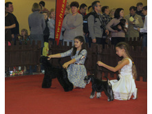 1-IMG_3943.JPG