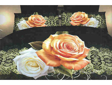 ������� ���� -����.jpg