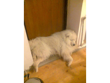 ����� - ����������