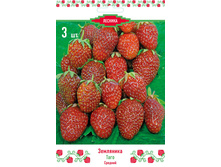 ��������� ������� ����.jpg