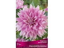 �������� ������������ �������� ����������.jpg