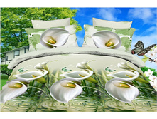 ����� �� ���� 1,5.jpg