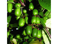 ��������� ��������� ������������.jpg