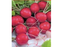 ����� ����� ,(��) 16,50 ���.