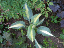 ��������*