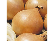 ��� �������� ��������� ,(��) 5,00 ���.