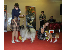 1-IMG_3954.JPG