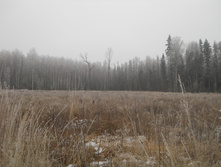 DSCN2833s.JPG