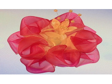 20���. ���.2�.jpg