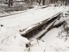 ���� ����� ����� ��������� � ������