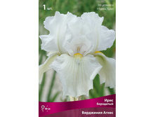 ���� ��������� ��������� �����.jpg