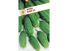 ������ ���� F1������������������ 10��,(��) 15,50 ���. [���.10000471]