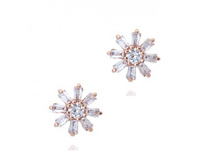 eq555568 - 265.65 ���..jpg