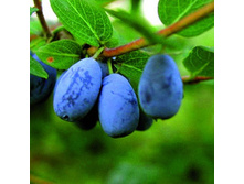 ��������� ��������� �����.jpg