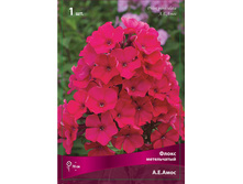 ����� ����������� �.�.����.jpg