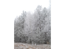 DSCN2820s.JPG