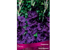 ��������� ���� �������.jpg