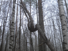 DSCN2862s.JPG