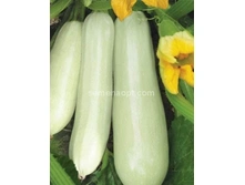 ������� ������� F1,(��) 6,50 ���. [���.5000092]