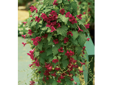 ������� �������� ������� 18 ��� 3 ��.jpg