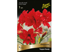 ��������� ����� ����.jpg