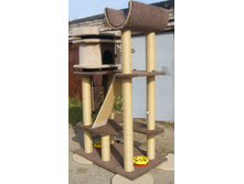 ���������� ����������� �������� " �����"