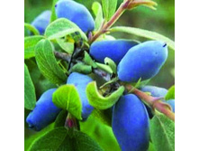 ��������� ��������� ������.jpg