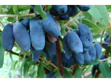 ��������� ������ �9-165�