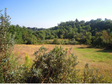 ��� ������ ������.jpg