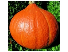 ����� ��������� �������������,(��) 3,50 ���. [���.15000032]