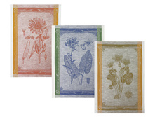 13�374_104_0. ��������, ����� �� 3 ��. 50�70. ���67 ������33. 273 ���..jpg