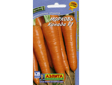 ������� ������ F1,(��) 17,00 ���. [���.8000088]