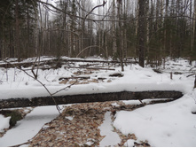 2014-11-30 12.17.18.jpg