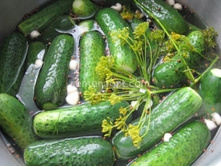 ������ ���������� ������������  15��,(��)3,50 ���. [���.10000224]