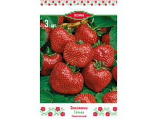 ��������� ������� ������.jpg