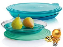 ���� ������������ 1,5 �. �������.���� 650