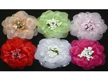 56���. ���.31�.jpg