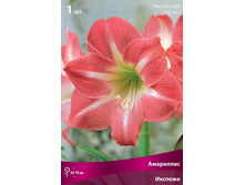 ��������� �������.jpg