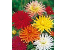 �������� ����������  �������� ��������� ����������,(��) 10,00 ���.[���.3002781]