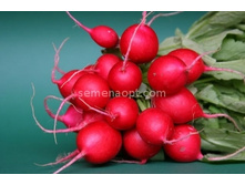 ����� �������,(��) 7,50 ���. [���.12000048]