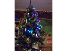 DSCF4679.JPG
