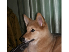 20141009_081445 (2).jpg