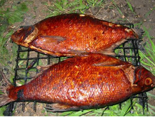 ���� �������� ��������4.jpg