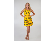 ������� "������" �������: F-151 ������: ����